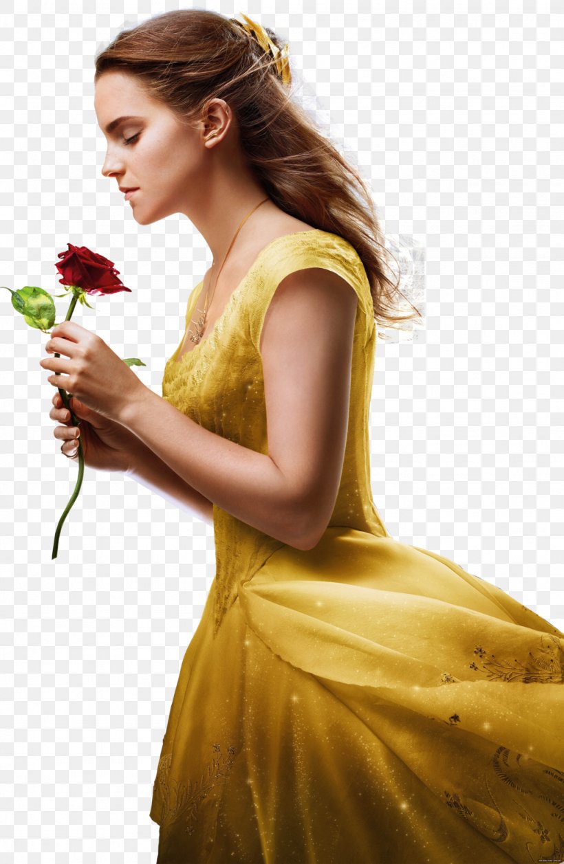 Belle Beauty And The Beast Emma Watson Live Action, PNG, 1024x1570px, Watercolor, Cartoon, Flower, Frame, Heart Download Free