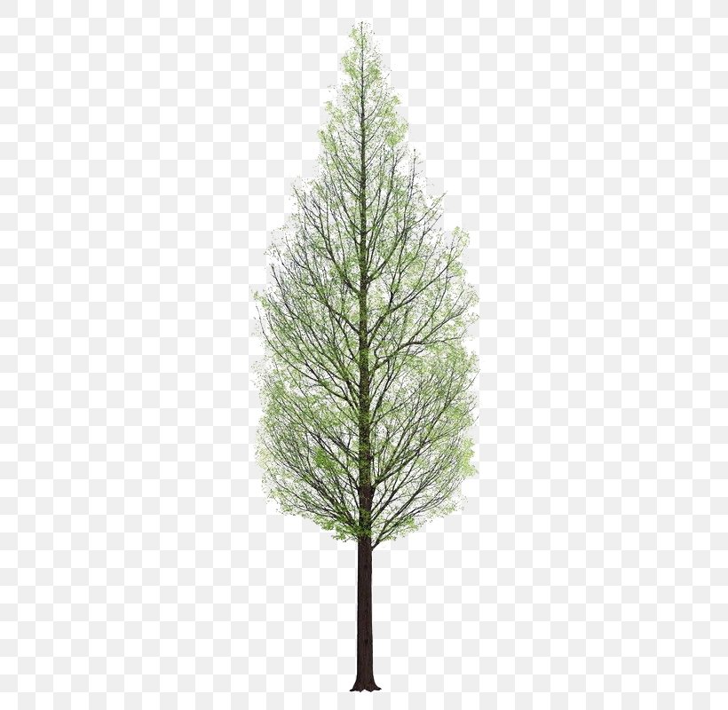 Tree 3D Rendering, PNG, 425x800px, 3d Rendering, Tree, Architectural Rendering, Branch, Christmas Decoration Download Free