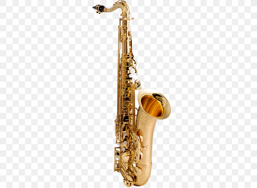Baritone Saxophone Tenor Saxophone Alto Saxophone Mouthpiece, PNG, 480x600px, Watercolor, Cartoon, Flower, Frame, Heart Download Free