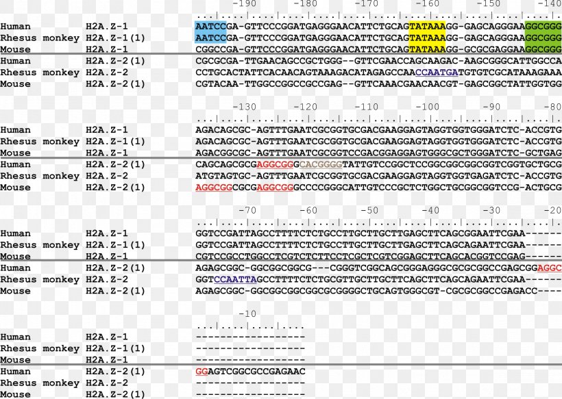 Histone H2A H2AFZ Nucleic Acid Sequence TATA Box, PNG, 2302x1637px, Histone H2a, Area, Caat Box, Chromatin, Consensus Sequence Download Free