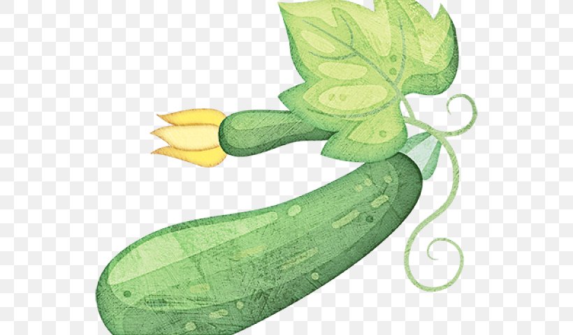 Leaf Plant Vegetable Legume Zucchini, PNG, 640x480px, Leaf, Cucumber, Legume, Luffa, Plant Download Free