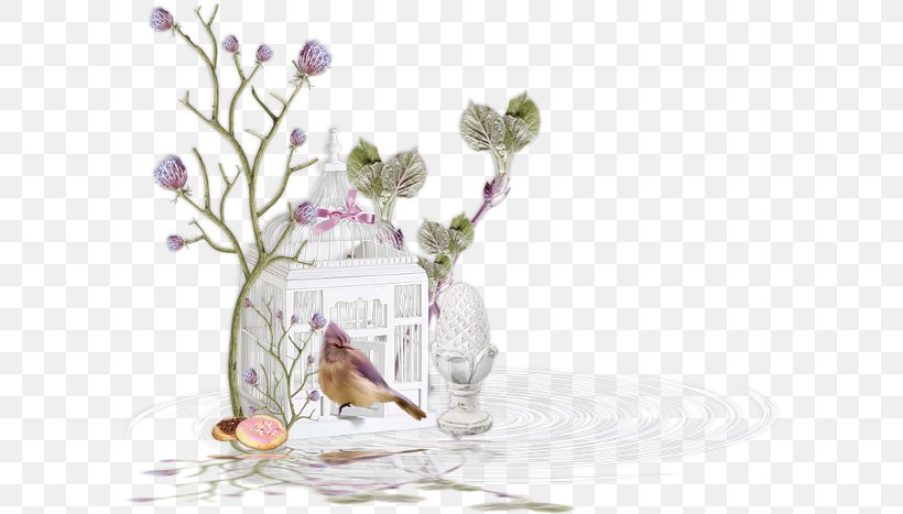 Birdcage Owl, PNG, 600x467px, Bird, Birdcage, Cage, Drinkware, Floral Design Download Free