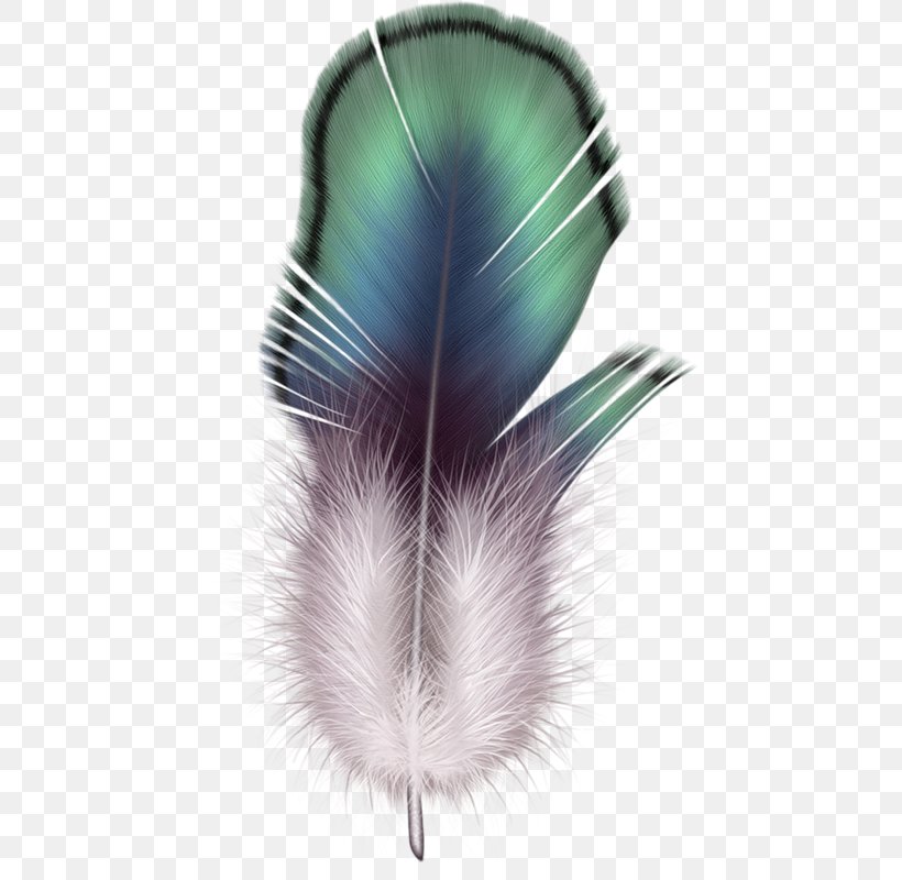 Feather Clip Art Image File Format, PNG, 452x800px, Watercolor, Cartoon, Flower, Frame, Heart Download Free