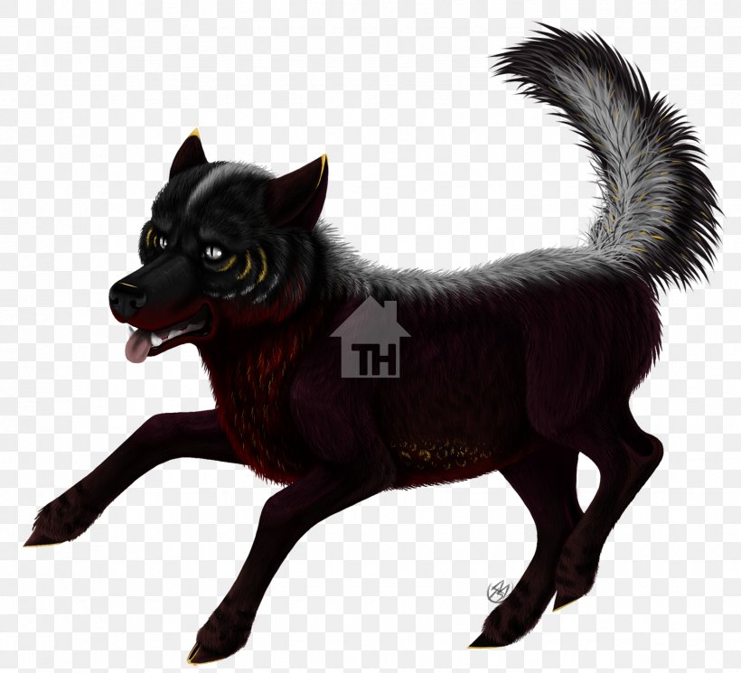 Schipperke Dog Breed Razas Nativas Vulnerables Fur, PNG, 1750x1591px, Schipperke, Breed, Carnivoran, Dog, Dog Breed Download Free
