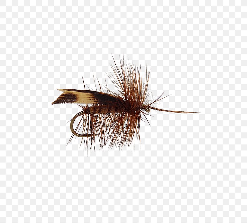Artificial Fly Fly Fishing Insect Nymph, PNG, 555x741px, Fly, Artificial Fly, Bead, Clothing, Clothing Accessories Download Free