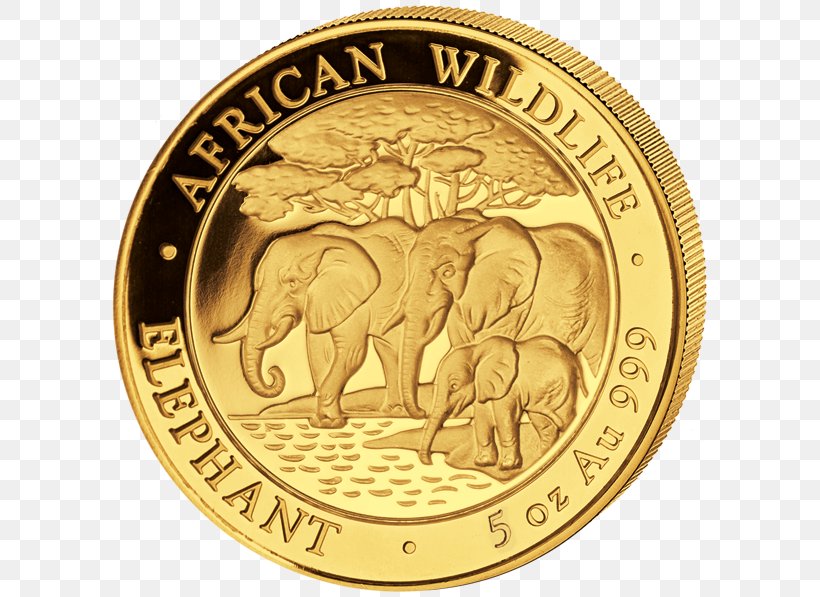 Gold Coin Gold Coin African Elephant Elephantidae, PNG, 600x597px, Coin, African Elephant, Bronze Medal, Bullion, Bullion Coin Download Free