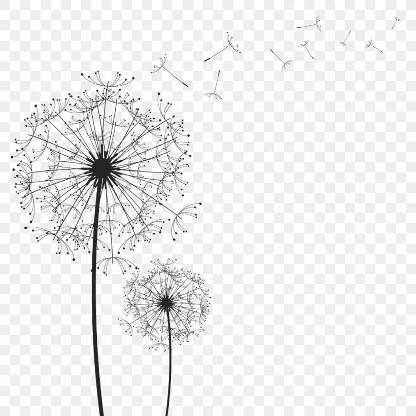 Clip Art Image Vector Graphics Dandelion, PNG, 1000x1000px, Dandelion, Black And White, Branch, Drawing, Flora Download Free