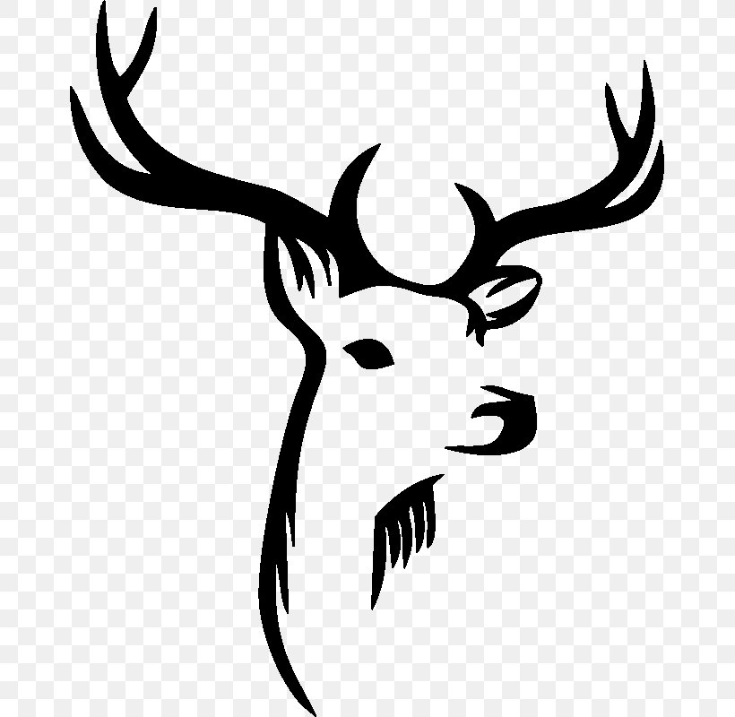 Red Deer Antler Reindeer Glass, PNG, 800x800px, Red Deer, Antler, Artwork, Black And White, Color Download Free