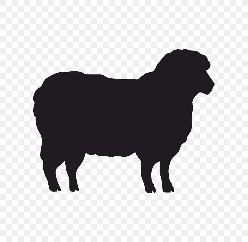 Sheep Stencil Silhouette Goat Cattle, PNG, 800x800px, Sheep, Black, Black And White, Border Collie, Carnivoran Download Free