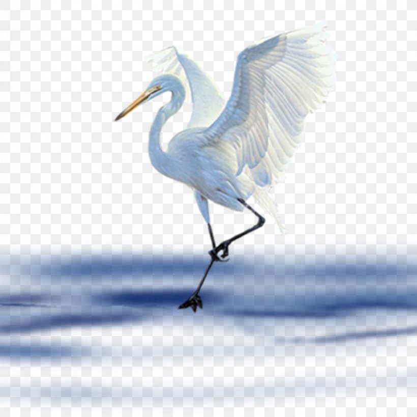 Bird Clip Art, PNG, 1181x1181px, Bird, Albom, Beak, Crane, Crane Like Bird Download Free