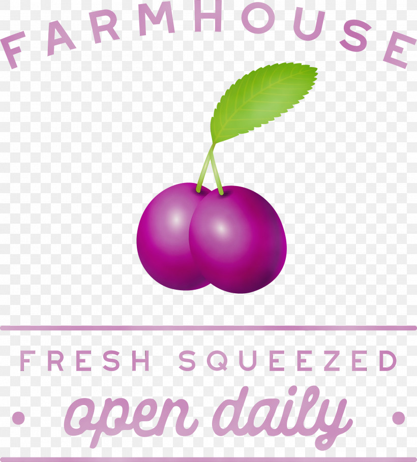 Meter Font Fruit Flower Plant, PNG, 2704x2999px, Farmhouse, Biology, Flower, Fresh Squeezed, Fruit Download Free