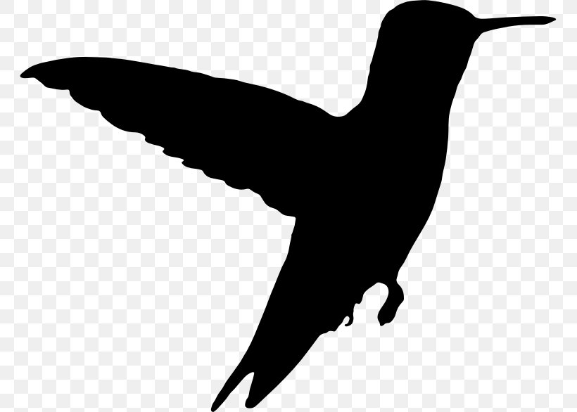 Hummingbird Clip Art, PNG, 763x586px, Hummingbird, Animal, Beak, Bird, Black And White Download Free