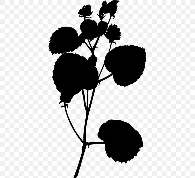 Twig Plant Stem Leaf Silhouette Font, PNG, 411x750px, Twig, Art, Blackandwhite, Botany, Branch Download Free