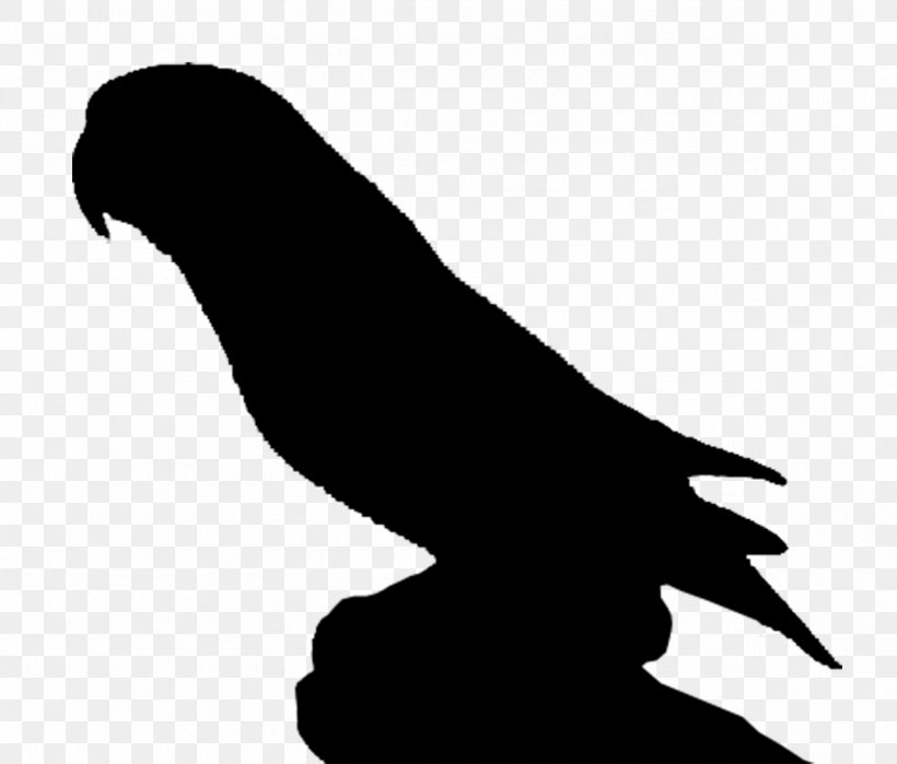 Beak Clip Art Silhouette H&M Black M, PNG, 1181x1008px, Beak, Bird, Black, Black M, Blackandwhite Download Free
