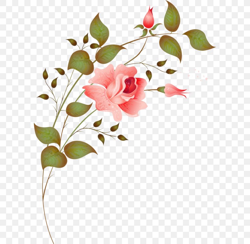 Flower Floral Design, PNG, 597x800px, Flower, Blossom, Branch, Cut Flowers, Designer Download Free