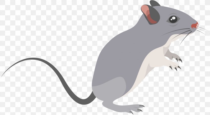 Gerbil Whiskers Clip Art Computer Mouse Snout, PNG, 2541x1400px, Gerbil, Action Toy Figures, Animal, Animal Figure, Computer Mouse Download Free
