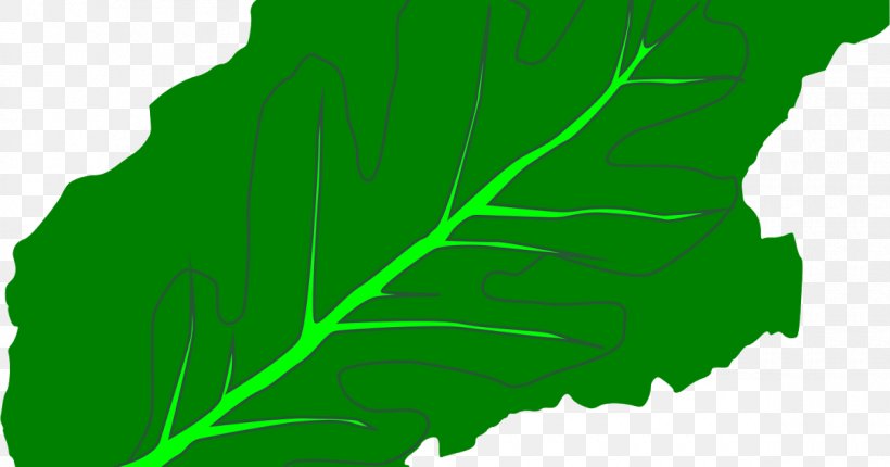 Leaf Greens Plant Stem Font Tree, PNG, 1200x630px, Leaf, Flora, Grass, Green, Greens Download Free