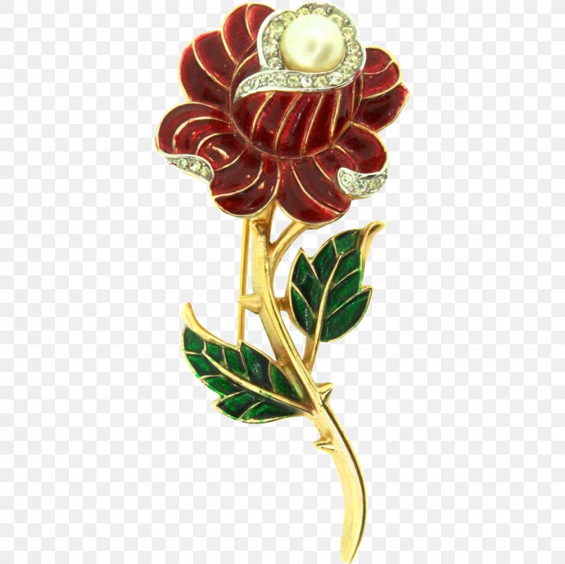 Rose Family Cut Flowers Brooch, PNG, 1635x1635px, Rose Family, Body Jewelry, Brooch, Cut Flowers, Flower Download Free