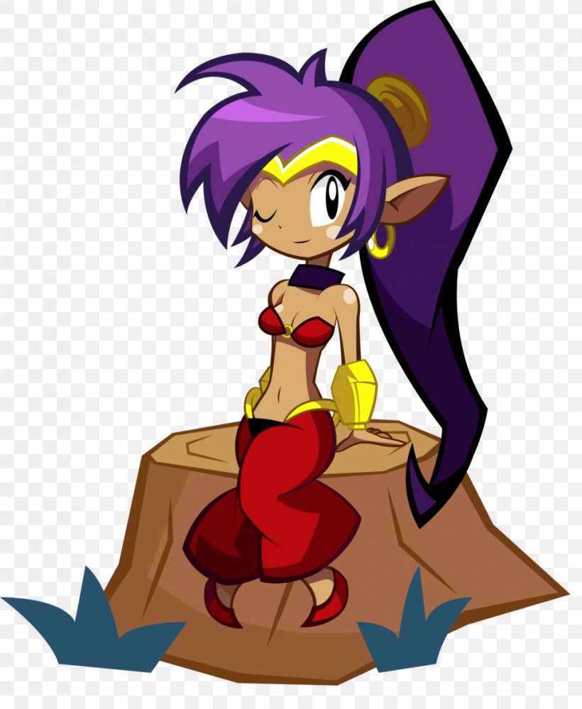 Shantae: Half-Genie Hero Shantae And The Pirate's Curse Shantae: Risky's Revenge Wii U Video Game, PNG, 967x1179px, Watercolor, Cartoon, Flower, Frame, Heart Download Free