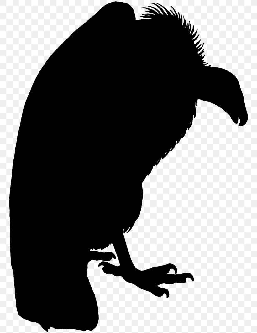Beak Clip Art Silhouette Fauna Black, PNG, 768x1063px, Beak, Black, Fauna, Silhouette, Tail Download Free