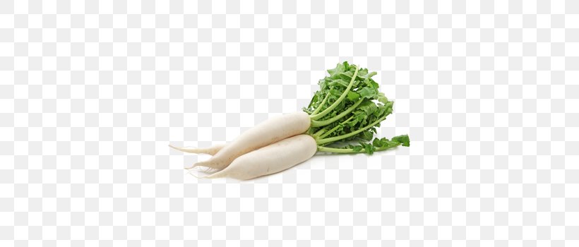 Daikon Root Vegetables Cải Củ Carrot, PNG, 350x350px, Daikon, Bitter Melon, Broccoli, Carrot, Chinese Cabbage Download Free