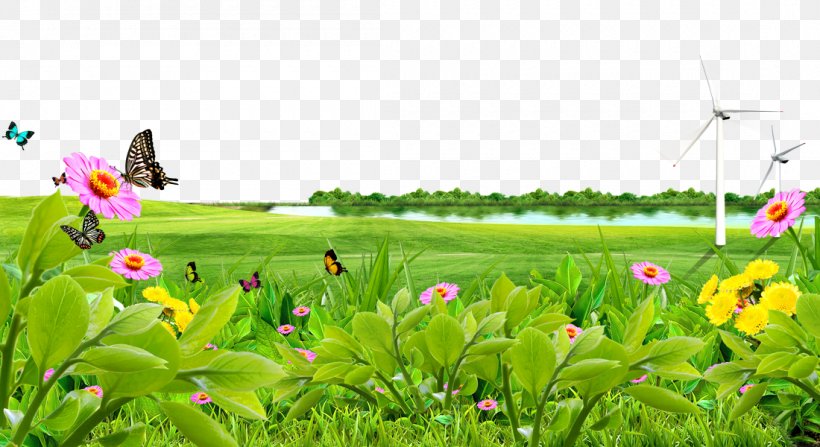 Meadow Lawn Wallpaper, PNG, 1100x600px, Meadow, Computer, Field, Flora, Flower Download Free