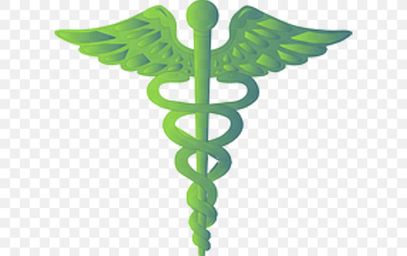 Physician Staff Of Hermes Medicine Logo Clip Art, PNG, 600x517px, Physician, Caduceus As A Symbol Of Medicine, Doctor Of Medicine, Health Care, Leaf Download Free