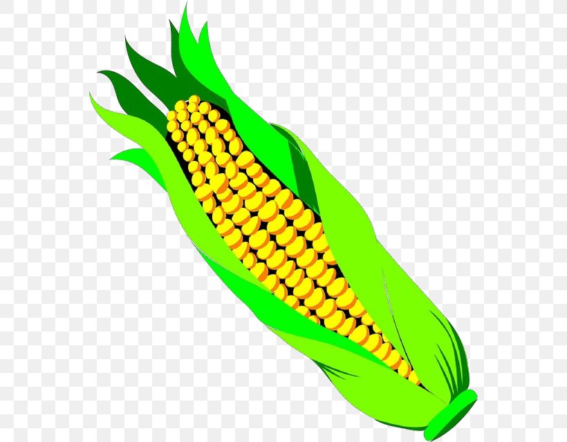 Corn Corn On The Cob Sweet Corn Yellow Vegetable, PNG, 562x640px, Cartoon, Banana Family, Corn, Corn Kernels, Corn On The Cob Download Free