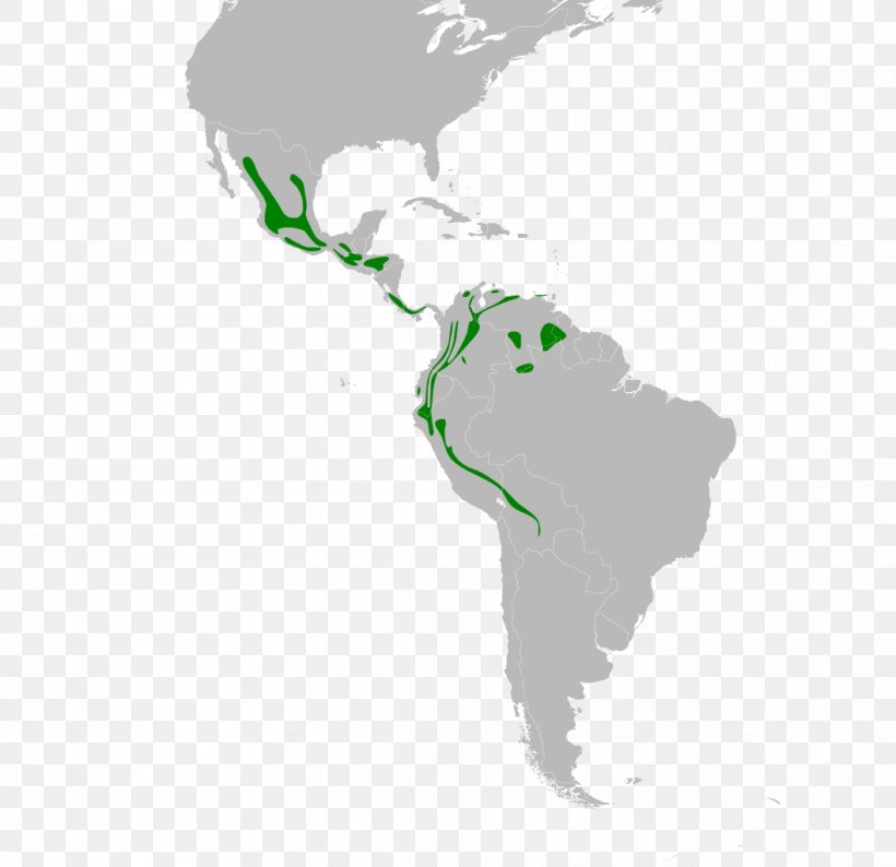 Latin America United States South America Central America Map, PNG, 1057x1024px, Latin America, Americas, Blank Map, Central America, First Republic Of Venezuela Download Free