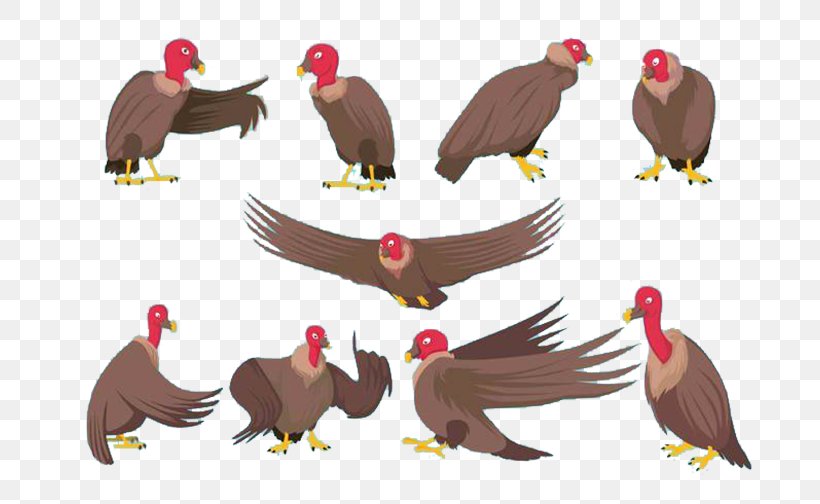 Bird Common Ostrich Euclidean Vector Illustration, PNG, 720x504px, Bird, Andean Condor, Art, Beak, Bird Of Prey Download Free