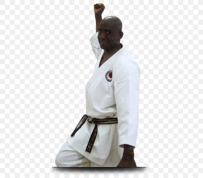 Dobok Karate Robe Uniform Costume, PNG, 400x720px, Dobok, Arm, Costume, Joint, Karate Download Free