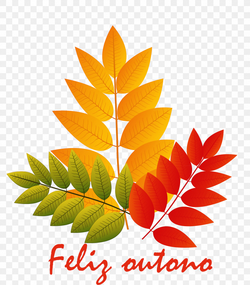 Hello Autumn Welcome Autumn Hello Fall, PNG, 2630x3000px, Hello Autumn, Acer Truncatum, Autumn, Autumn Leaf Color, Branch Download Free