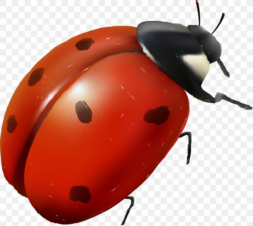 Ladybird Insect Red Cartoon, PNG, 2000x1789px, Ladybird, Animated Film, Animation, Beetle, Cartoon Download Free