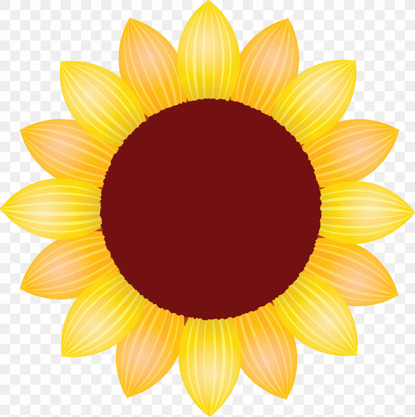 Sunflower Petal Flower, PNG, 2982x3000px, Sunflower, Asterales, Blackeyed Susan, Daisy Family, Flower Download Free