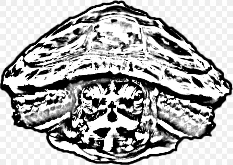 Tortoise Turtle Skull Headgear Jaw, PNG, 840x595px, Tortoise, Art, Black And White, Bone, Character Download Free