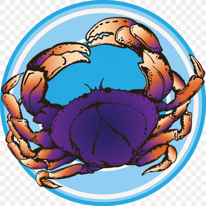 Dungeness Crab Clip Art, PNG, 886x886px, Dungeness Crab, Ball, Crab, Decapoda, Dungeness Download Free