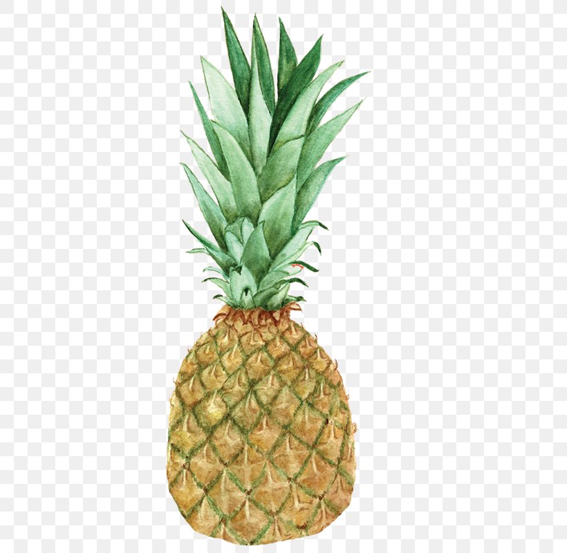 Image Photograph Graphics Desktop Wallpaper Pineapple, PNG, 602x800px, Pineapple, Ananas, Art, Banana, Bromeliaceae Download Free