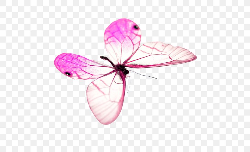 Butterfly, PNG, 500x500px, Butterfly, Butterflies And Moths, Designer, Flower, Gratis Download Free