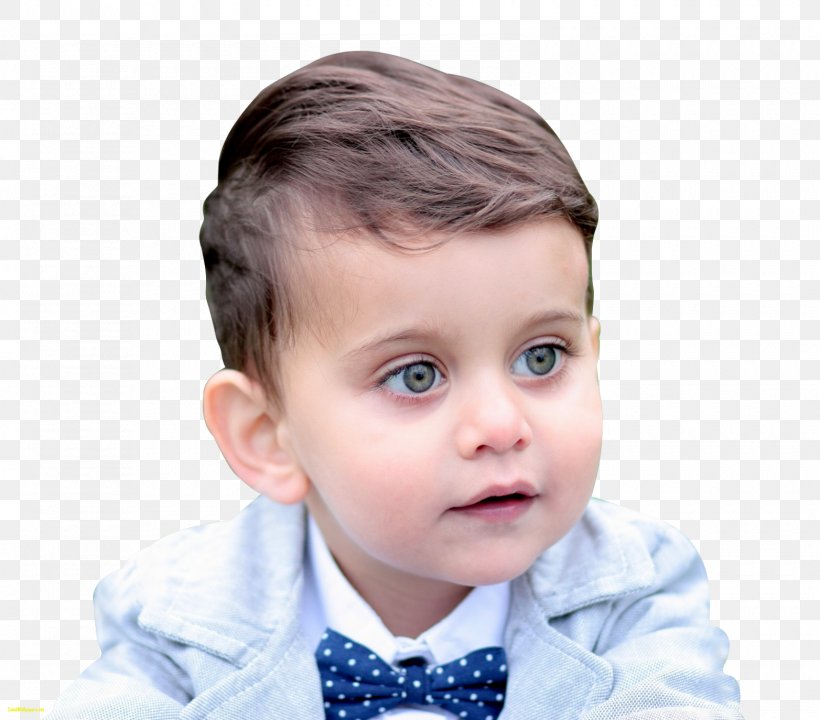 Download, PNG, 1600x1406px, Child, Boy, Cheek, Child Model, Chin Download Free