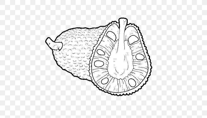 Fruit Cartoon, PNG, 600x470px, Jackfruit, Coloring Book, Drawing, Durian, Fruit Download Free