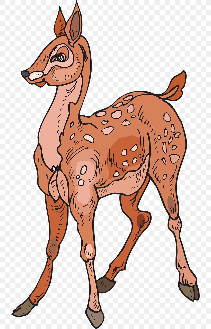 White-tailed Deer Red Deer Elk Clip Art, PNG, 732x1280px, Deer, Animal Figure, Camel Like Mammal, Chital, Drawing Download Free