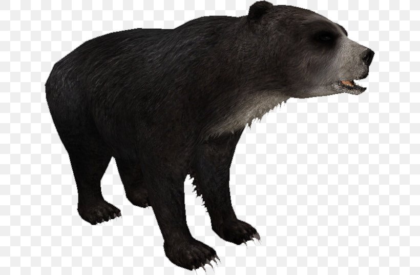 Grizzly Bear Short-faced Bears Zoo Tycoon 2 Tremarctos Floridanus, PNG, 645x536px, Grizzly Bear, American Black Bear, Animal, Bear, Brown Bear Download Free
