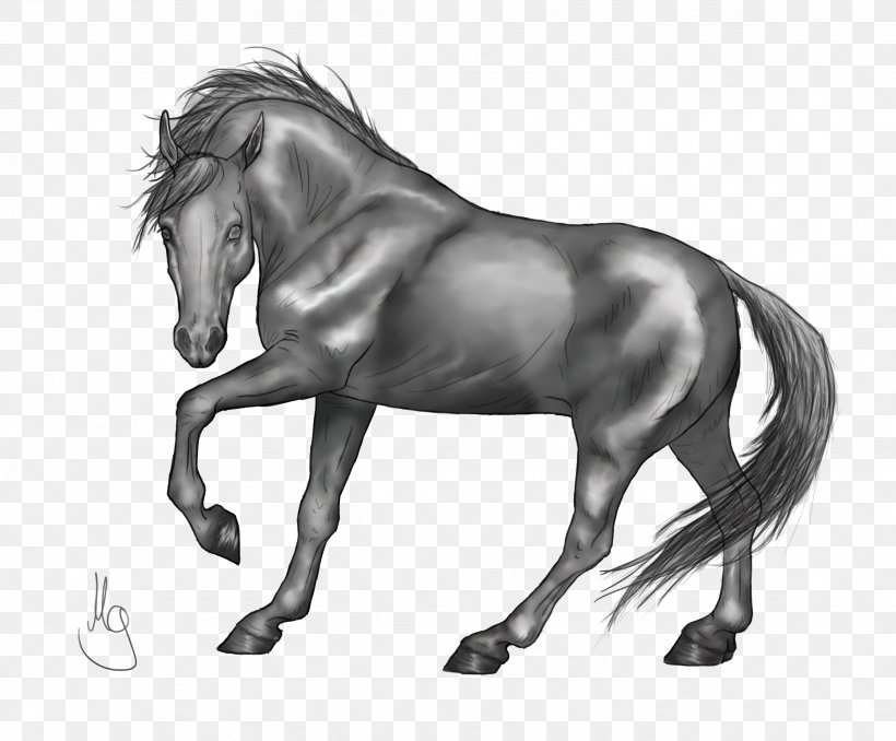 Standing Horse Drawing Grayscale, PNG, 2463x2039px, Horse, Art, Black And White, Bridle, Coloring Book Download Free