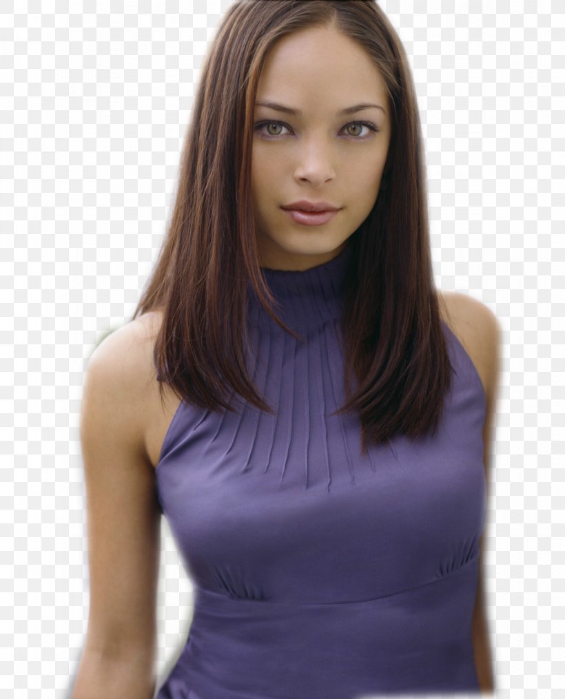 Kristin Kreuk Smallville Lana Lang Catherine Chandler Television, PNG, 1171x1450px, Watercolor, Cartoon, Flower, Frame, Heart Download Free