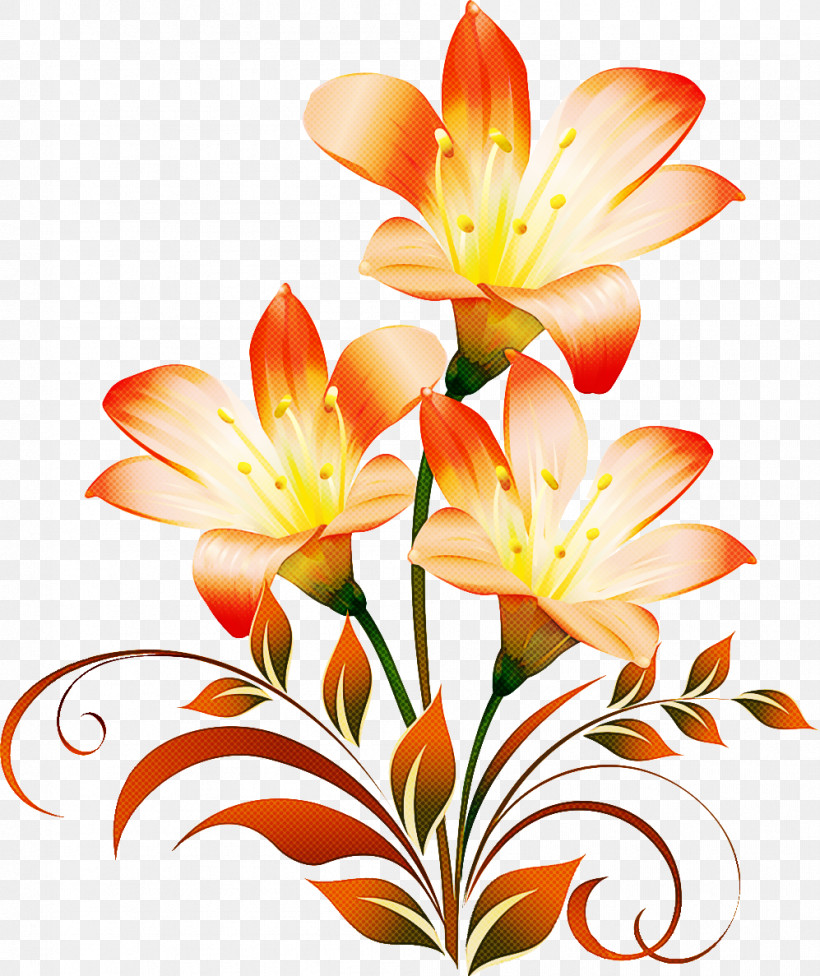 Lily Flower, PNG, 997x1187px, Lily Flower, Cut Flowers, Daylilies, Easter Lily, Floral Design Download Free