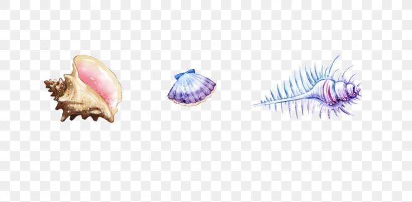 Sea Snail Seashell, PNG, 1500x736px, Sea Snail, Designer, Google Images, Purple, Sea Download Free