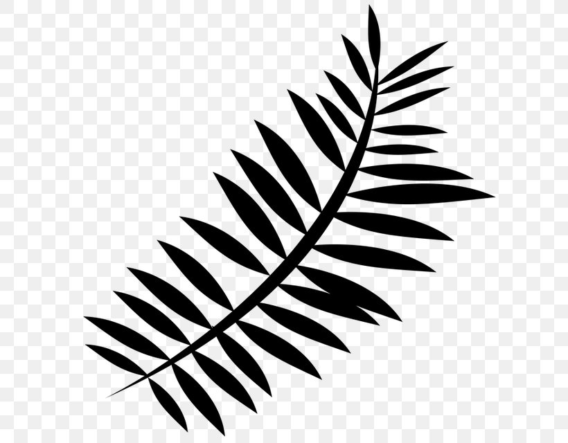 Fern De Beekvallei Ophoven Silhouette Clip Art, PNG, 640x640px, Fern, Bed And Breakfast, Black And White, Branch, Child Download Free