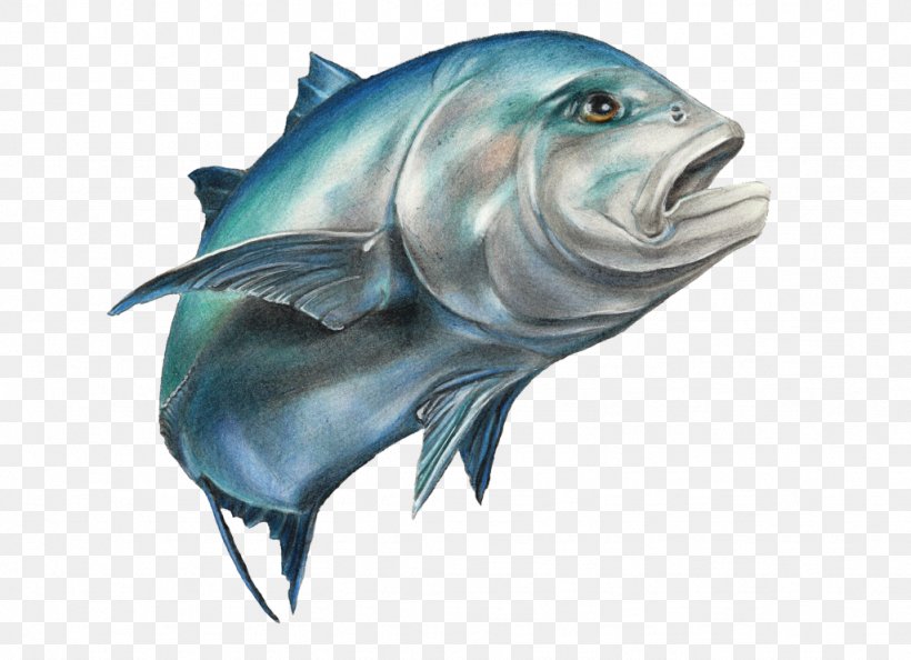 Fishing Giant Trevally Carangidae Drawing, PNG, 1024x742px, Fish, Atlantic Blue Marlin, Bigeye Trevally, Carangidae, Drawing Download Free