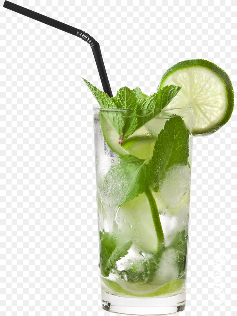 Mojito Cocktail Juice Fizzy Drinks Beer, PNG, 800x1096px, Mojito, Beer, Caipiroska, Carbonated Water, Cocktail Download Free