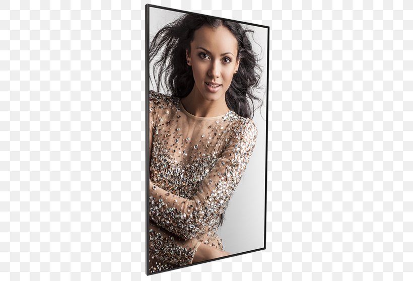 Planar Systems Digital Signs Display Device 4K Resolution Liquid-crystal Display, PNG, 800x558px, 4k Resolution, Planar Systems, Brown Hair, Computer Monitors, Digital Signs Download Free